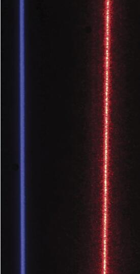 1629435586931444.jpg QQ截圖20210820125806.jpg