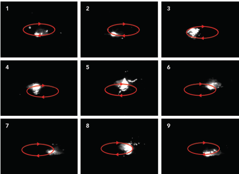 QQ瀏覽器截屏未命名