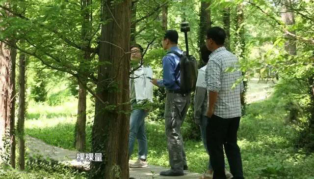 數字綠土：激光雷達&ldquo;慧眼&rdquo;探大地