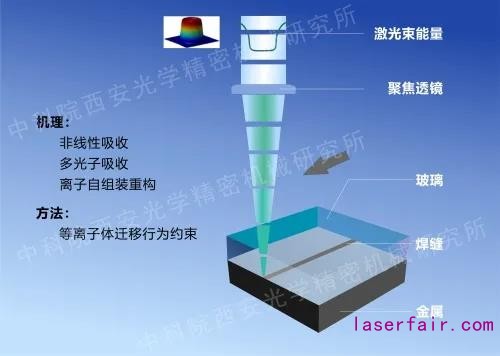 1594704207859147.jpg 1.jpg