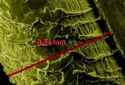 1598665275728990.jpg 1598665275728990.jpg