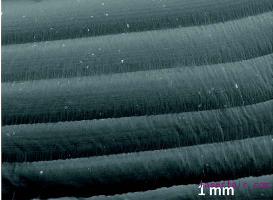 1598664566859358.jpg 1598664566859358.jpg