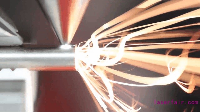 1610421828356615.jpg 1610421828356615.jpg