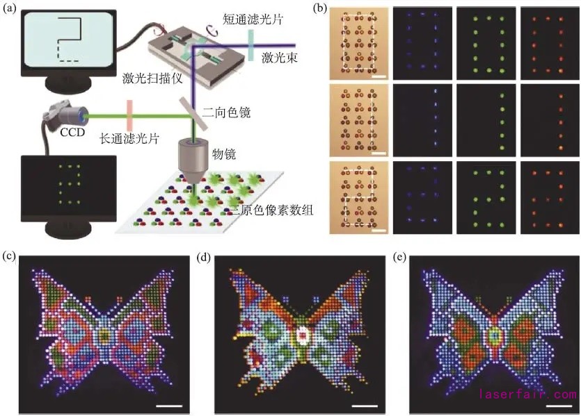 1611020226850666.jpg 1611020226850666.jpg