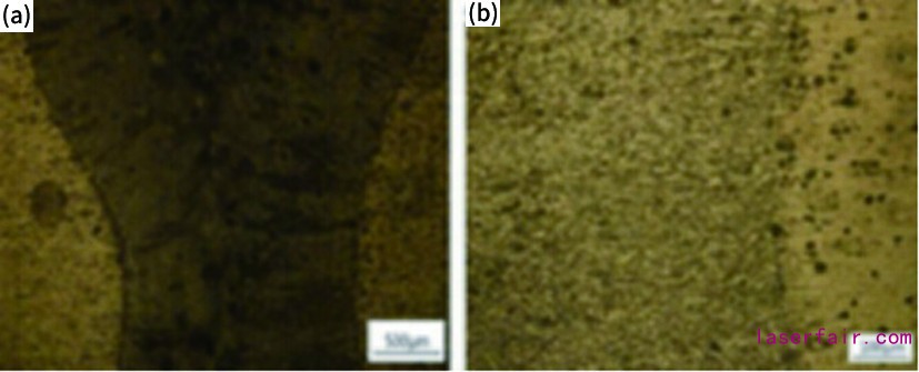 1617945609290314.jpg 1617945609290314.jpg