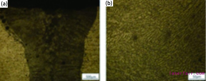 1617945609111963.jpg 1617945609111963.jpg