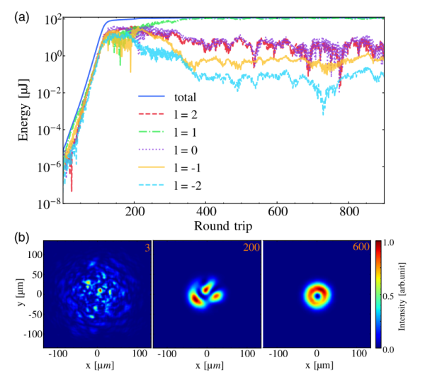 X射線自由電子激光振蕩器中橫向模式的演化。