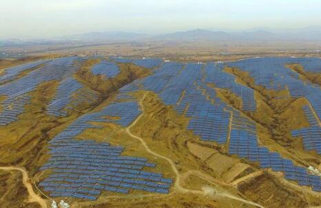 1627629001930759.jpg 8da1a507f4b632555cf9b59255929dff.jpg