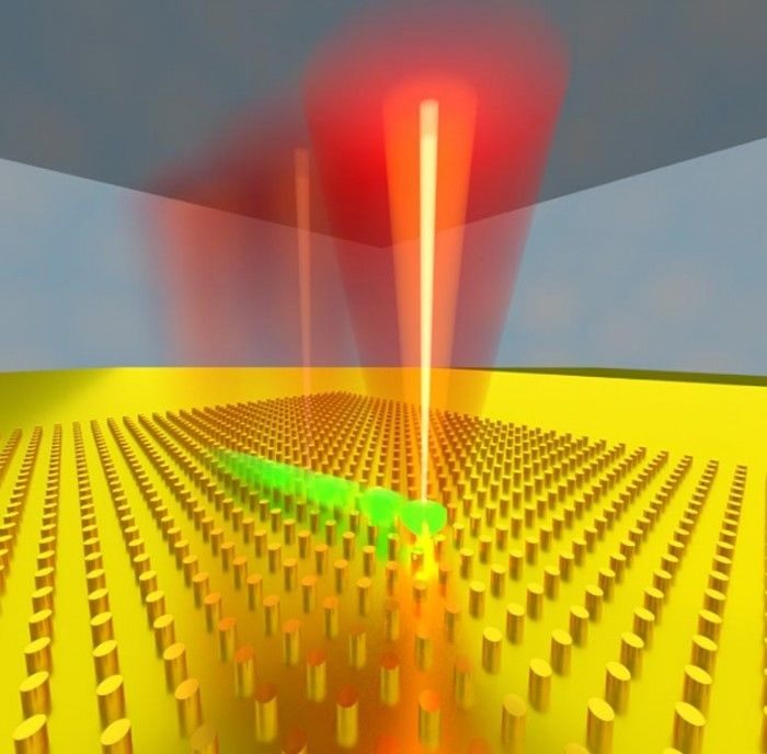 1627881927107485.jpg 1627881927107485.jpg