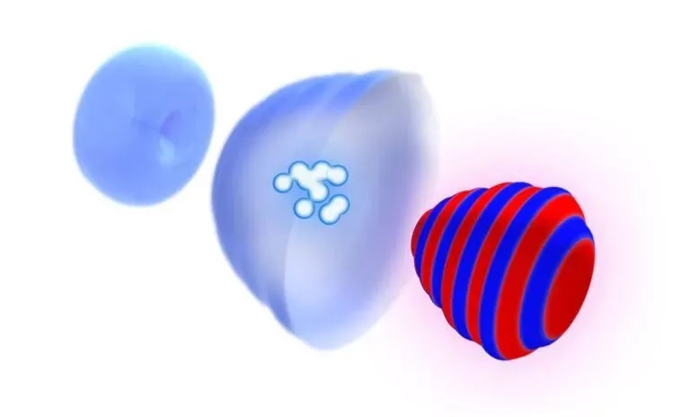 1629337606408905.jpg 1629337606408905.jpg