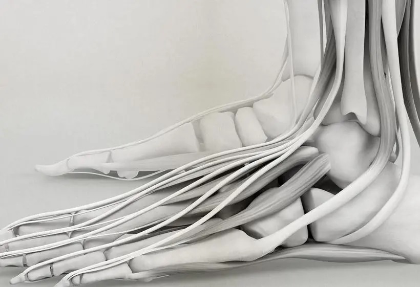 1629783459396501.jpg 1629783459396501.jpg