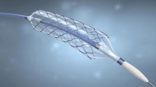 1636426420923464.jpg 1636426420923464.jpg