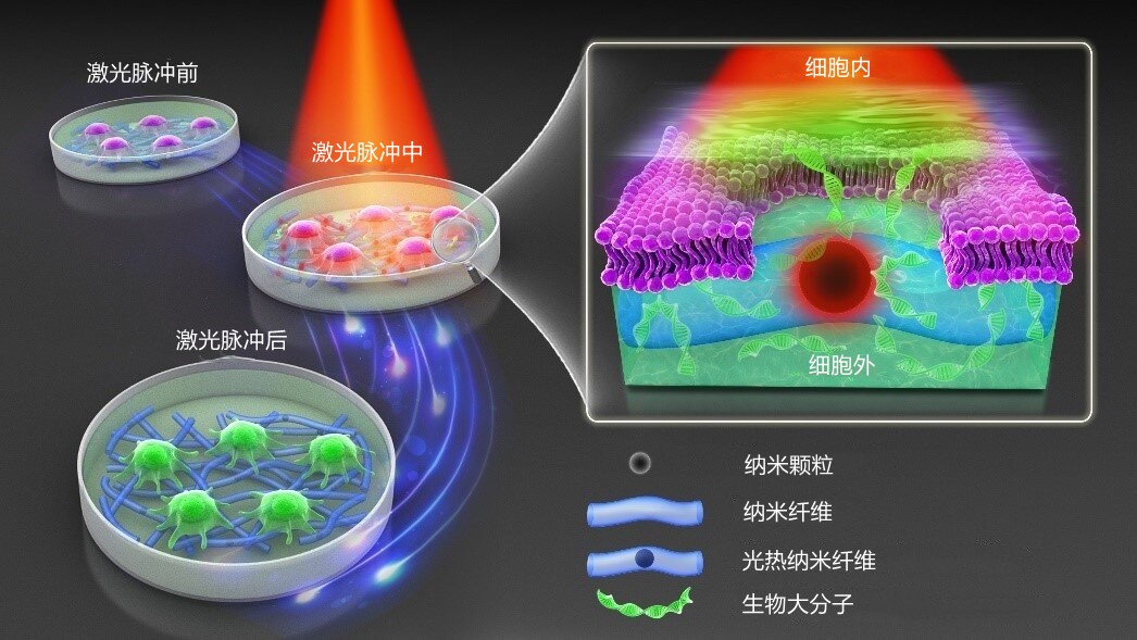 1636421541780432.jpg 1636421541780432.jpg