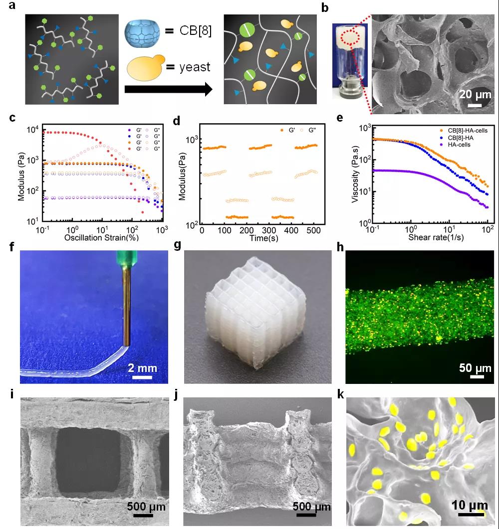 活體(ti) 材料的3D打印