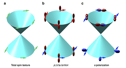 物理所驗證了拓撲絕緣體(ti) 中的自旋-軌道鎖定現象