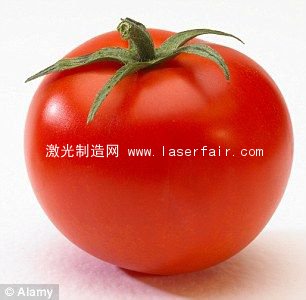 英嚐試&ldquo;紋身&rdquo;水果激光條碼令顧客更方便(圖)